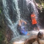 Gallery Thumbnail 2